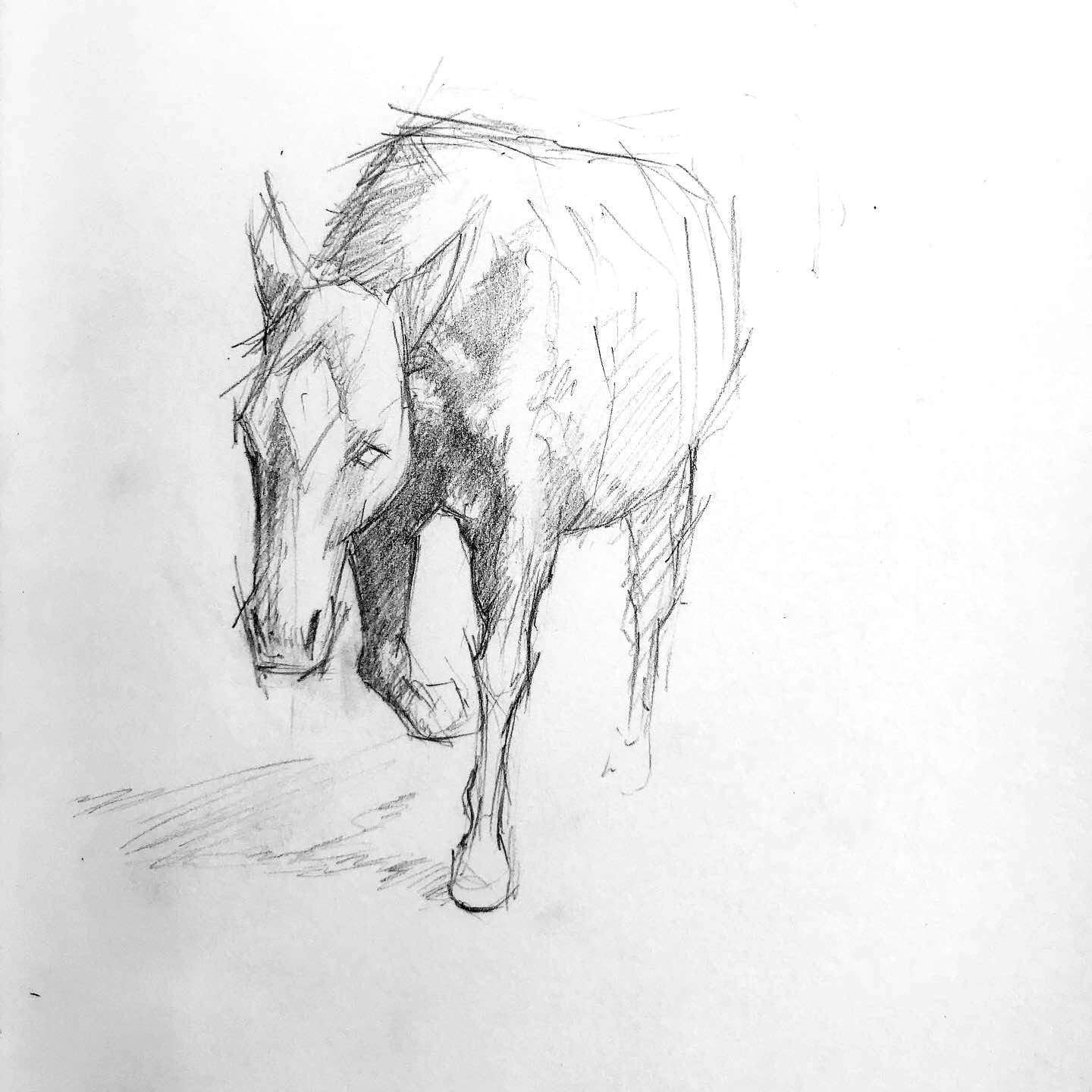 horse_study_1